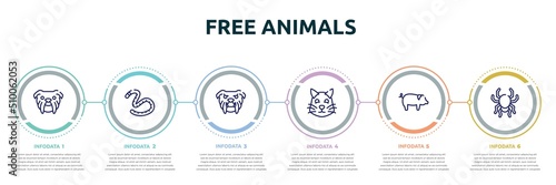 Carta da parati free animals concept infographic design template