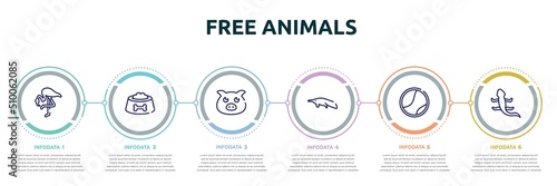 free animals concept infographic design template. included flamingo with leg up, dog food bowl, farm pig, sitting anteater, tennis ball, curved lizard icons and 6 option or steps.