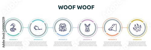 Fotografia woof woof concept infographic design template