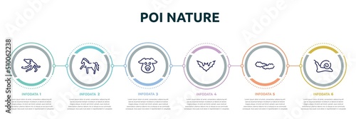 poi nature concept infographic design template. included wild octopus, horse with leg up, pig head, plain bat, cloudy sky, null icons and 6 option or steps.
