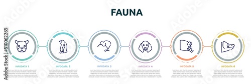 fauna concept infographic design template. included face of staring dog, sitting penguin, kiwi eating, dog with floppy ears, hog head, chameleon head icons and 6 option or steps.