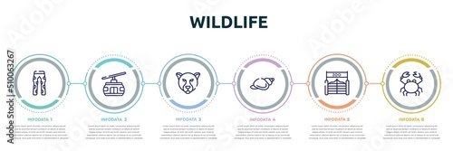 wildlife concept infographic design template. included fatigue, cable car, jaguar, shell, zoo, crab icons and 6 option or steps.