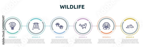 wildlife concept infographic design template. included shell, swing, pawprints, blue whale, pearl, moss icons and 6 option or steps.