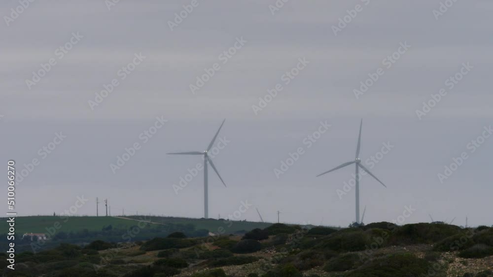 Windmills in the field Windmills in the field