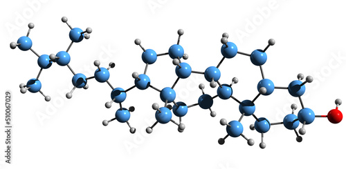 Fototapeta Naklejka Na Ścianę i Meble -   3D image of campestanol skeletal formula - molecular chemical structure of  natural phytosterol isolated on white background
