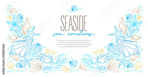 Vector frame, border of line art tropical sea elements, seashells, starfish. Doodles of marine life. Sea decor. Ocean invertebrates, sea creatures. Maritime illustration
