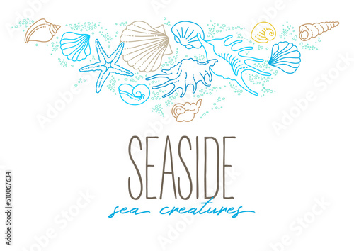 Vector illustration of line art tropical sea elements, seashells, starfish. Doodles of marine life. Sea decor. Ocean invertebrates, sea creatures. Maritime illustration