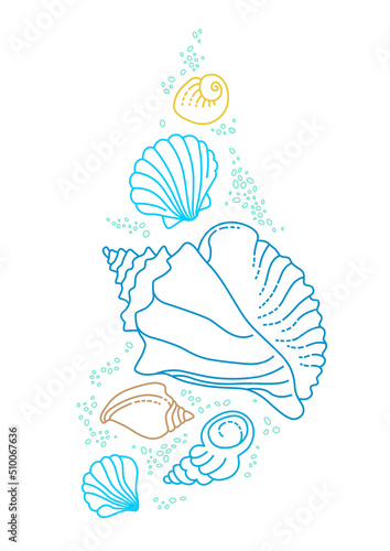 Vector illustration of line art tropical sea elements, seashells, starfish. Doodles of marine life. Sea decor. Ocean invertebrates, sea creatures. Maritime illustration