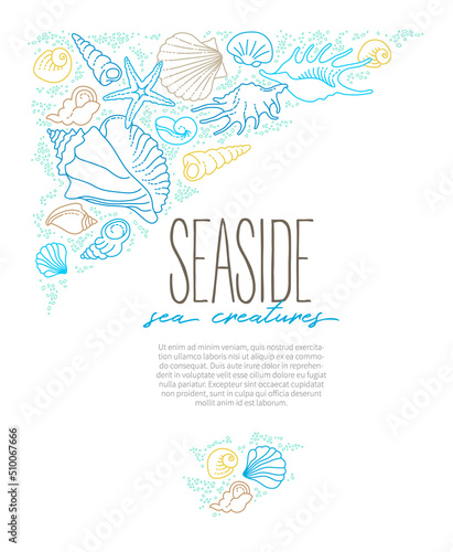 Vector illustration of line art tropical sea elements, seashells, starfish. Doodles of marine life. Sea decor. Ocean invertebrates, sea creatures. Maritime illustration