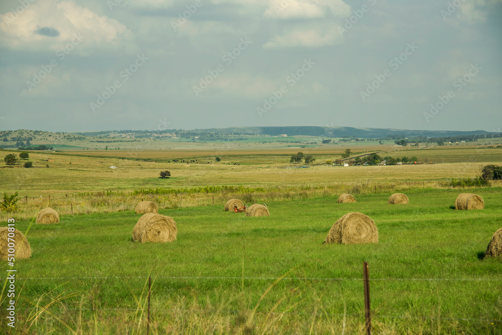Green Meadow with hay Ballys