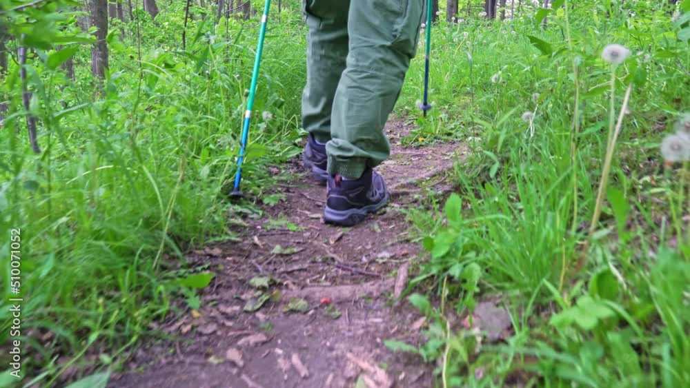 Man tourist hiking in forest during summer trip or vacation. Only legs in frame. Outdoors time and leisure for adventures journey concept. Active male with hiking poles or trekking sticks in the woods Man tourist hiking in forest during summer trip or vacation. Only legs in frame. Outdoors time and leisure for adventures journey concept. Active male with hiking poles or trekking sticks in the woods