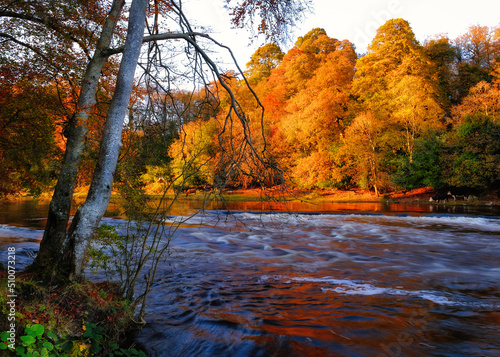 Scenic river rapids in golden autumn