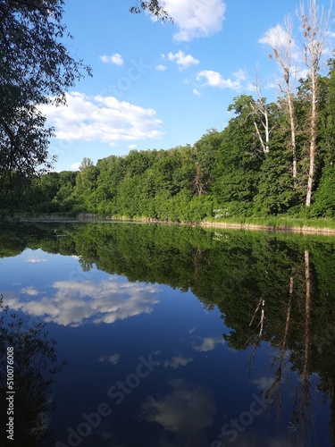 lake and forest