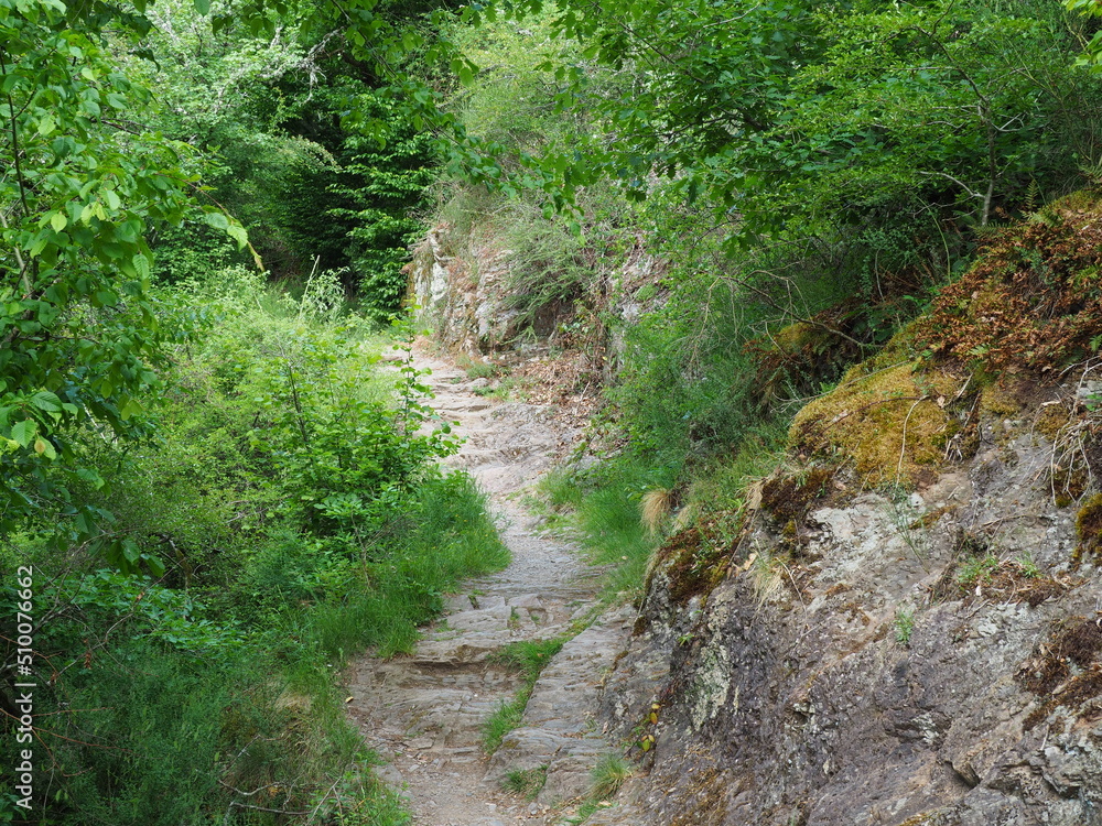 Oberburg Manderscheid in der Eifel - Rheinland-Pfalz Oberburg Manderscheid in der Eifel - Rheinland-Pfalz