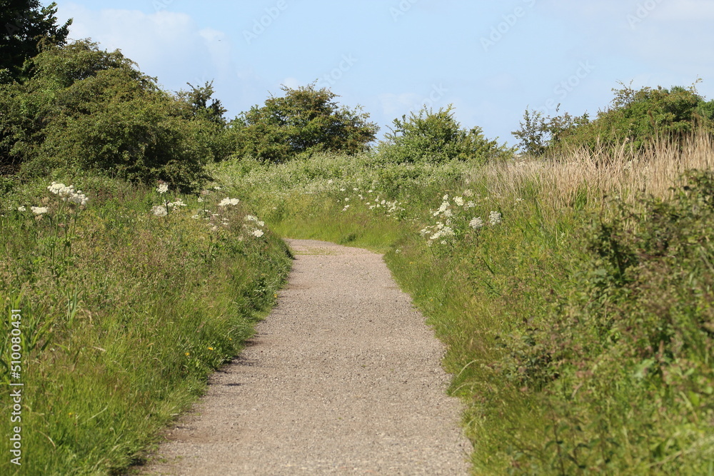 A beautiful landscape shot of a nature reserve in Lunt. The photo has been taken on a warm, sunny and clear afternoon.
