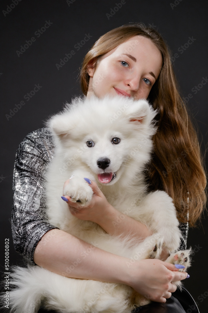 Funny Samoyed puppy in the friendly embrace of a girl Funny Samoyed puppy in the friendly embrace of a girl