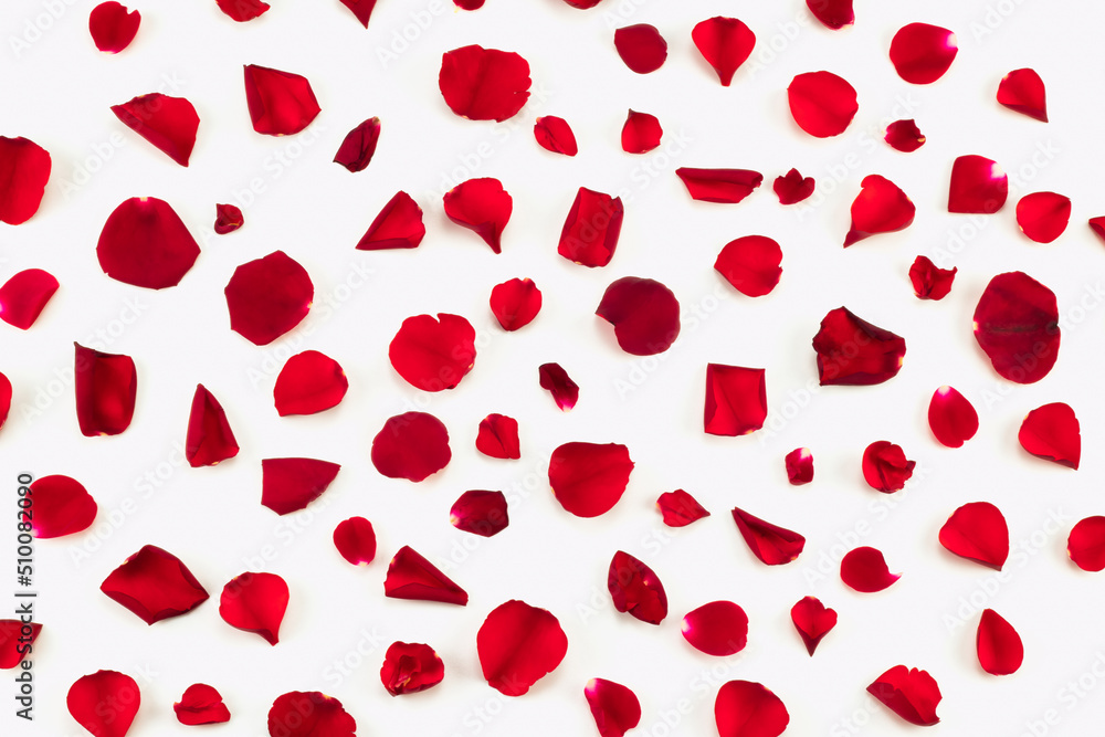 Red rose petals pattern isolated on white background. Top view. Red rose petals pattern isolated on white background. Top view.