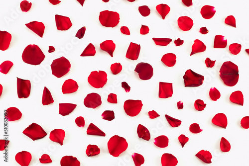 Red rose petals  pattern isolated on white background. Top view.