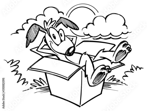 Dog resting in box