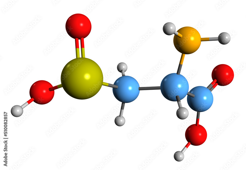 3D image of Cysteine sulfinic acid skeletal formula molecular