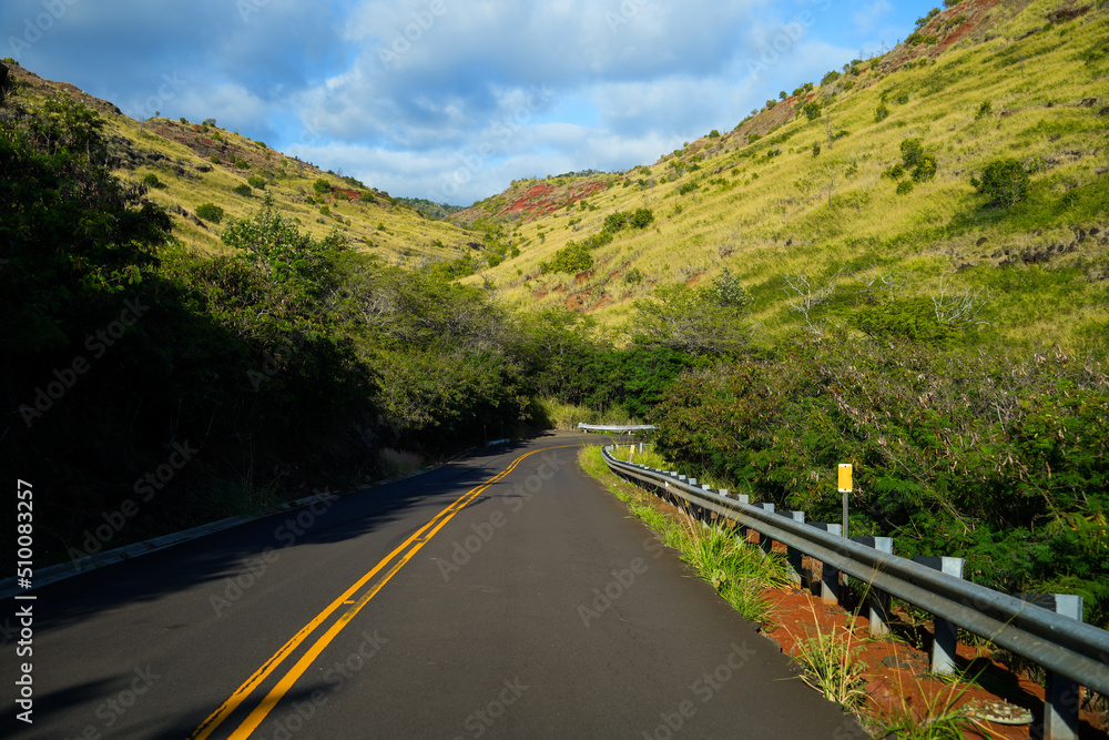 Curves on Kokee road leading up to the Waimea Canyon on Kauai island, Hawaii