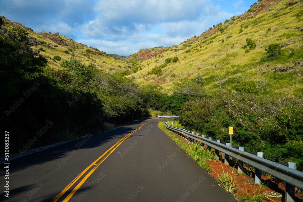 Curves on Kokee road leading up to the Waimea Canyon on Kauai island, Hawaii Curves on Kokee road leading up to the Waimea Canyon on Kauai island, Hawaii