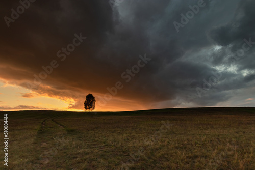 man walking in the desert