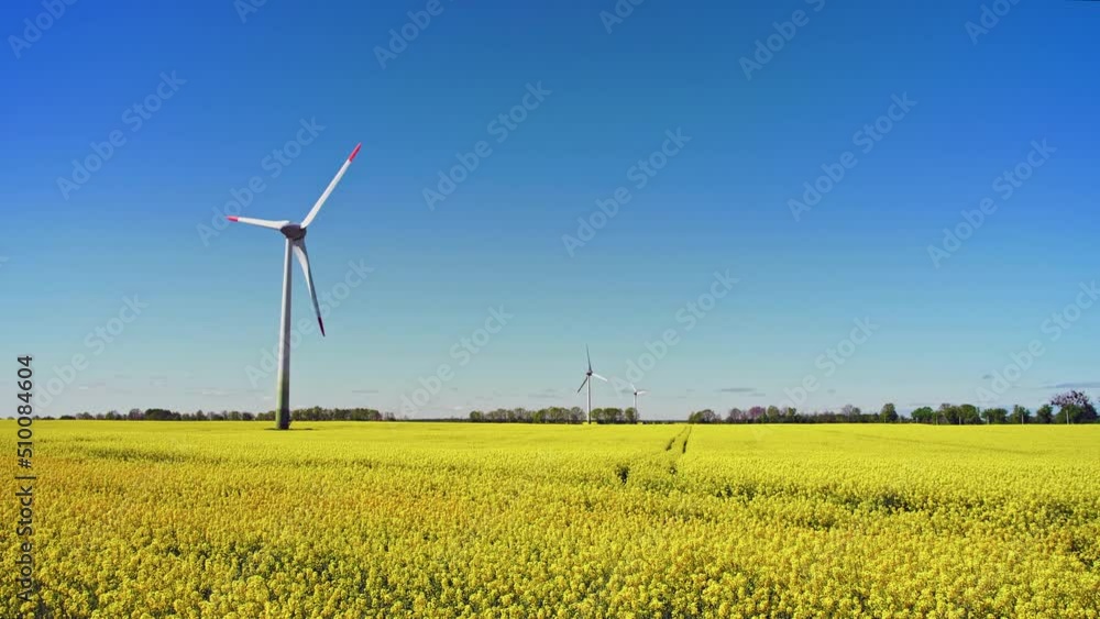Wide shot of beautiful flowering rapeseed field with wind power turbines in the sunny day. Renewable energy, wind energy with windmills. Wind turbines farm generating electricity on rapeseed fields Wide shot of beautiful flowering rapeseed field with wind power turbines in the sunny day. Renewable energy, wind energy with windmills. Wind turbines farm generating electricity on rapeseed fields