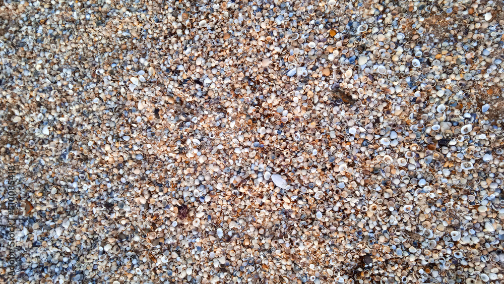 Sandy seashore. The texture of the sand. Summer vacation spot. Desert. Free space. Close-up. View from above Sandy seashore. The texture of the sand. Summer vacation spot. Desert. Free space. Close-up. View from above