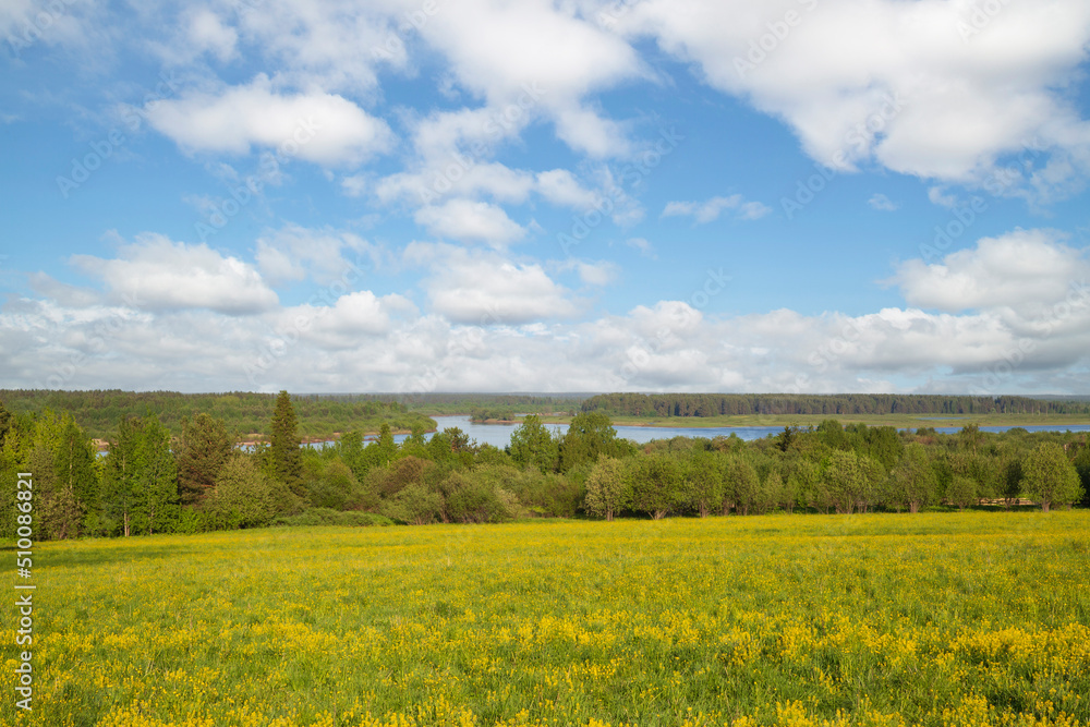 Beautiful summer landscape with yellow flowers and clouds.