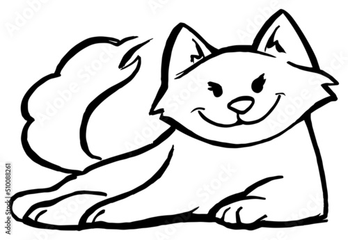Cat resting