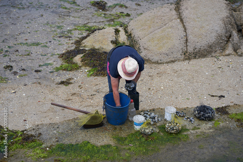 Shellfisher selecting the different sizes of clam to take to the fish market for sale. Traditional foot fishing, concept of sustainability and environment