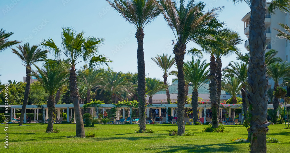 Palm trees in blue sky in a hotel garden. Travel vacation paradise at beach resort. Exotic destination. Tunisia.