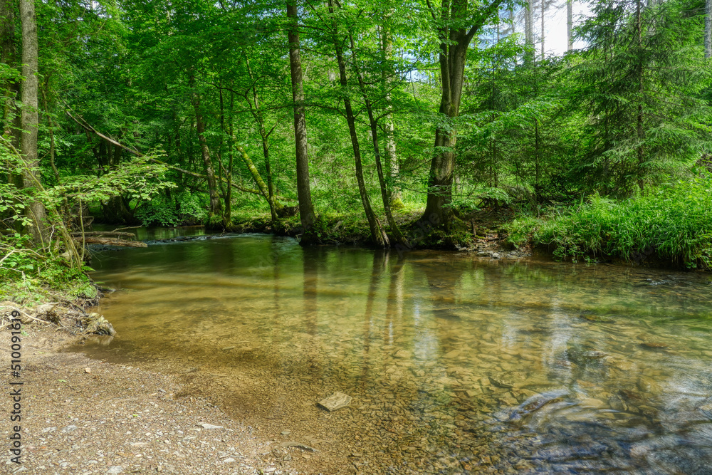 Blick auf den Eifgenbach bei Burscheid Blick auf den Eifgenbach bei Burscheid