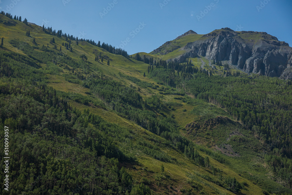 Colorado mountain forest with dramatic lighting 