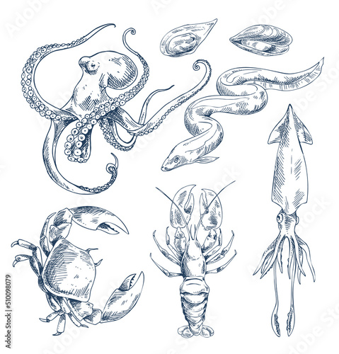 Squid and octopus, crustaceans crab and river crayfish, and edible mussel clam. Monochrome animal as seafood depiction. Sketch style illustration.