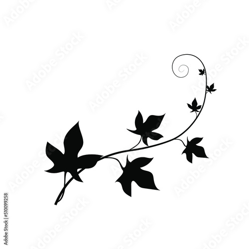 Black silhouette of an ivy branch. Botanical art. Simple vector illustration.