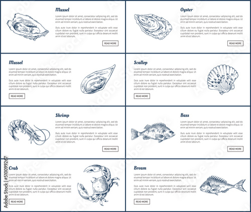 Mussel and oyster posters set. Scallop shell and marine dwellers shrimp. Bass fish bream and crab with headlines and text sample vector illustration