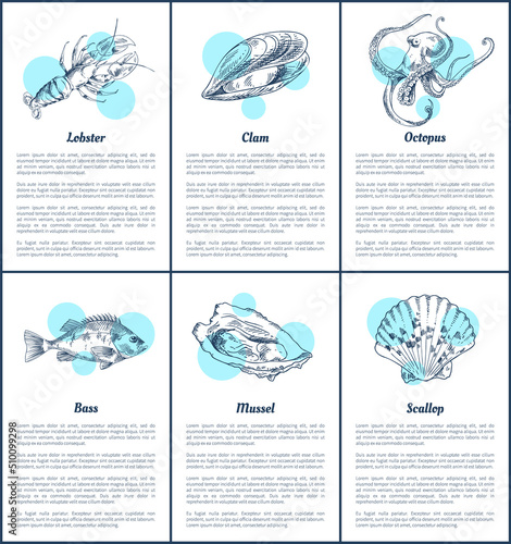 Bass fish and octopus set. Marine dwellers scallop and mussel, lobster with claws, scallop posters with informational text sample vector illustration