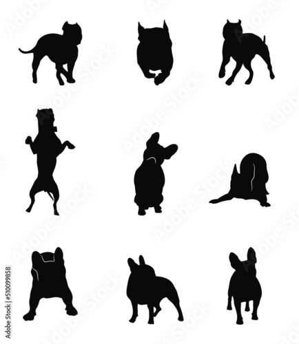 Silhouettes of fighting dogs in different positions. Commands sit, lie down, doll, play, run. American Staffordshire Terrier, Pit Bull and French Bulldog. Set.