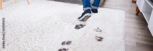 Person Walking With Muddy Footprint On Carpet photo