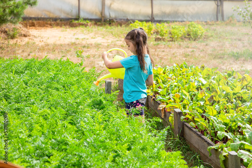 Little girl in a green T-shirt, watering a green bed of yellow watering can, in the garden