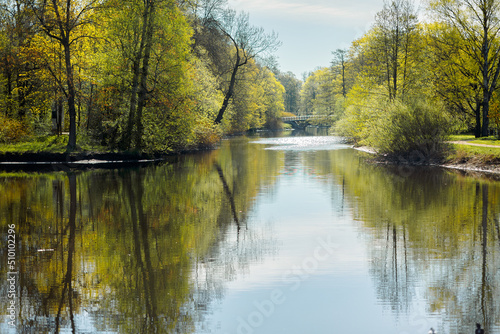 Panorama of beautiful trees at forest in sunrays at sunrise. Beautiful spring landscape in forest with reflection of trees in water of pond in spring. Selective focus. Nature backdrop with plant
