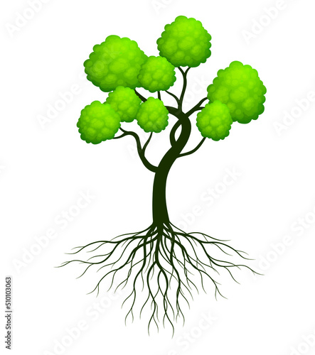 Green Tree with Roots. Vector Illustration. EPS file.