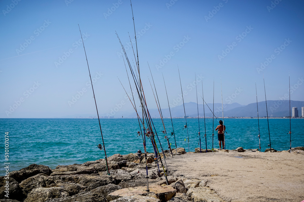 reeds placed on the seashore