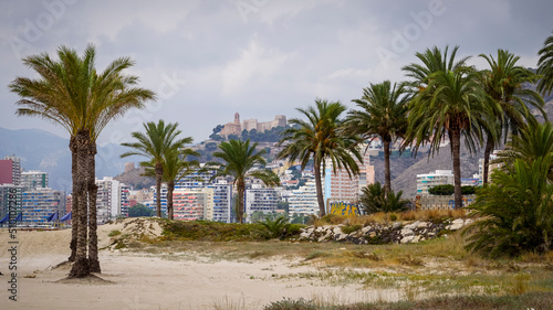 Fototapeta Naklejka Na Ścianę i Meble -  Panoramic view of the castle of the city of Cullera with palm trees in the foreground