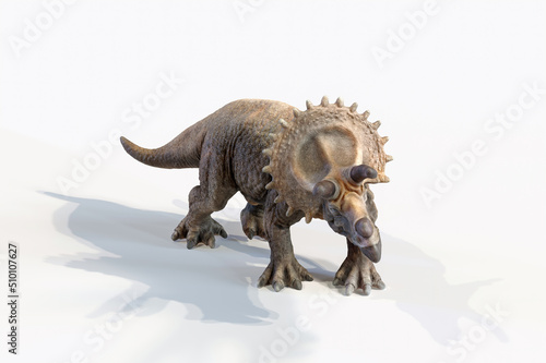 triceratops dinosaur 3d rendering on white background © Roman