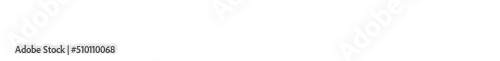 White Bare Branches Snowflakes Banner Frame