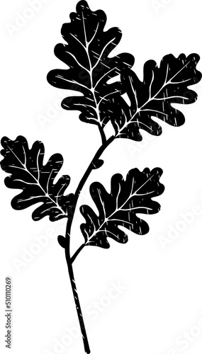 Black Textured Oak Leaves Branch Illustration