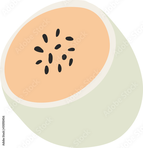 Orange Melon Fruit Illustration